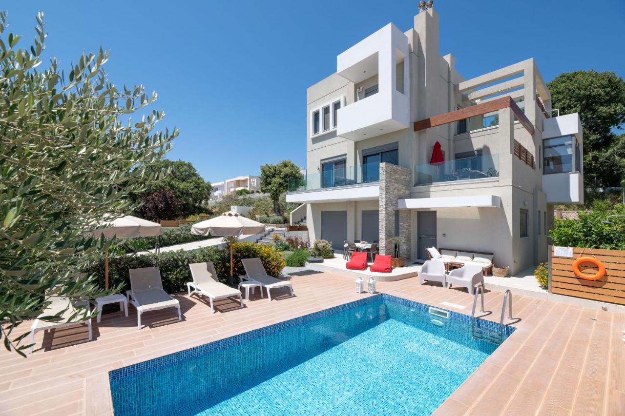 Terpsis Pool Villa Asgourou Bagian luar foto